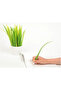 Grass-Shaped Ballpoint Pen Decorative Cobalt I Pen Leaf Design Office Pen 0.5 mm