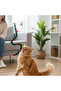 Ornamental Designed Cat Fishing Rod - 2