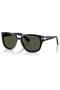 Po3366S 95 31 55 Unisex Sunglasses