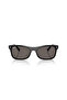 2226 901/B1 54 Sunglasses