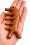 Sandalwood Scalp Massage Comb Wooden Gua Sha Head Leather Si Meridian Acupressure Massage Comb At-139 - 2