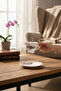 Floral Print Set of 2 Porcelain Coffee Cups 90 ml – Stylish Presentation Cup Set - 3