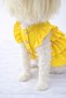 Cat - Dog Summer 100% Cotton Poplin Dress - Clothing - T-Shirt - 6