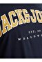 Jack Jones Caleb Varsity Large Size Men's T-Shirt 12258871 - 7