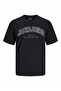 Jack Jones Caleb Varsity Large Size Men's T-Shirt 12258871 - 5