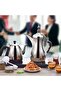 Stainless Steel Electric Arabic Coffee & Tea Kettle Set Dual Pot Fast Heating - 3
