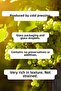 20 ML 100% Non-Dilution Natural Carrier Fixed Oil - Grape Seed - 6