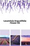 100% Pure Lavender Water and Oil Set - 100 ML and 10 ML - 4