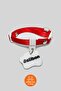 Cat Collar with Charm, Name Tag, and Phone Number Written (Safety Click) - 3