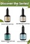 Gaia’S Garden Olive Oil Peony Scented Liquid Soap Refill 1500 ml (3X500 ml) Economic Package - 8