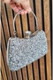 Women's Silver Crystal Big Stone Evening Dress Bag Special Occasion Bag - 3