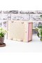 Deepcraft Parabox Target Money Box Pink-Cream Color Wooden with Lock - 3