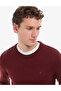Burgundy Slim Fit Crew Neck Basic Knitwear Sweater 50314192-Vr014 - 3