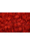 United Model with Hearts Red Color Rope Curtain Ready-Made Rope Curtain 300*270 - 5