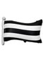 Luxury Black and White Fan (Super Set) with Backboard Concept Birthday Party Set Decoration - 2