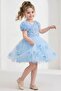Girl's Rose Tutu Special Occasion Dress Blue - 4