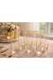 Elegant Set of 6 Glass Cups in Honey and Gold Tones