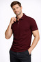 Men's 100% Cotton Short Sleeve Regular Fit Polo Collar T-Shirt - 3
