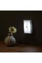 Adjustable Light Lamp 7.5x11cm - 2