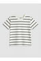Green Crew Neck Boys' T-Shirt 3-Pack - 6