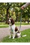 Bntmkt-0040-Ds-3-2 Cat & Dog Network Leash Mix 2X120Cm - 2