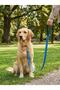Bntmkt-0040-Ds-1-2 Cat & Dog Network Leash Mix 2X120Cm - 2