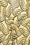 Women Allover Print Maxi Dress, Multicolor - 2