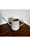 Galvanized Metal Watering Can 1.2 Lt Shiny Gray - 2
