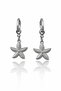 Steel Special Design Dangle Gift Sea Star Couple Earrings, Does Not Tarnish or Fade - 2