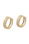 Patterned Hoop Earrings Tarnish Resistant Stainless Steel Gold Color Modern Minimal Women's Earrings