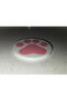4 Shaped Tea & Coaster Sets with Decorative Design - 2