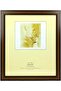 FRAMES & DECOR Rectangular Glass Photo Frame