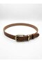Women's Belt Plus Size Tan Casual Buckle Bridge Detail - 3