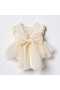 Ella Short Sleeve Lace Baby Girl Romper with Bow on the Back - 3