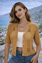 Women's Knitwear Cardigan Camel Short Sleeve V-Neck Openwork Buttoned Soft Textured Casual Stylish - 5