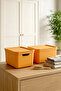 2-Piece Multi-Purpose Storage Box with Lid - In-Cabinet Organizer 17 Liters - 2