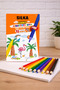 Shinny Jumbo 12 Colors Dry Paint Mandala