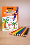 Shinny Jumbo 12 Colors Dry Paint Mandala - 3