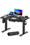 FLEXISPOT EN2 cm Electric Sit Stand Desk with Cable Management - Black Frame and Top