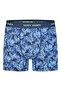 Boxer Jersey