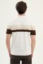 Striped Slim Fit Crew Neck Men's Knitwear T-Shirt Ecru - 11589.26Y - 4