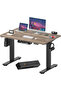 FLEXISPOT EN2 cm Electric Sit Stand Desk - Black Frame and Black Walnut Top