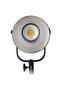 مصباح LED أحادي الإضاءة النهارية فورزا 200 - 4