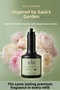 Gaia’S Garden Olive Oil Peony Scented Liquid Soap Refill 1500 ml (3X500 ml) Economic Package - 4