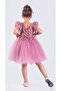 Tutu Skirt Robe Embroidered Embroidered Dress Pink - 3
