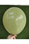Kalisan Retro Eucalyptus Latex Balloons 10 Pieces 12 Inches 30 cm