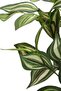 باقة زهور التلغراف الصناعية 45 سم - 4