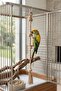 Parrot Stress Rope 80 cm 10mm Thick Jute Rope Climbing Toy Natural Bird Toy with Carabiner