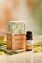 Lemongrass Essential Oil Aromatherapy Series 10 ml - 2