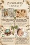 Natural Pumpkin Fiber Glycerin Goat Milk Soap 100 gr - 6